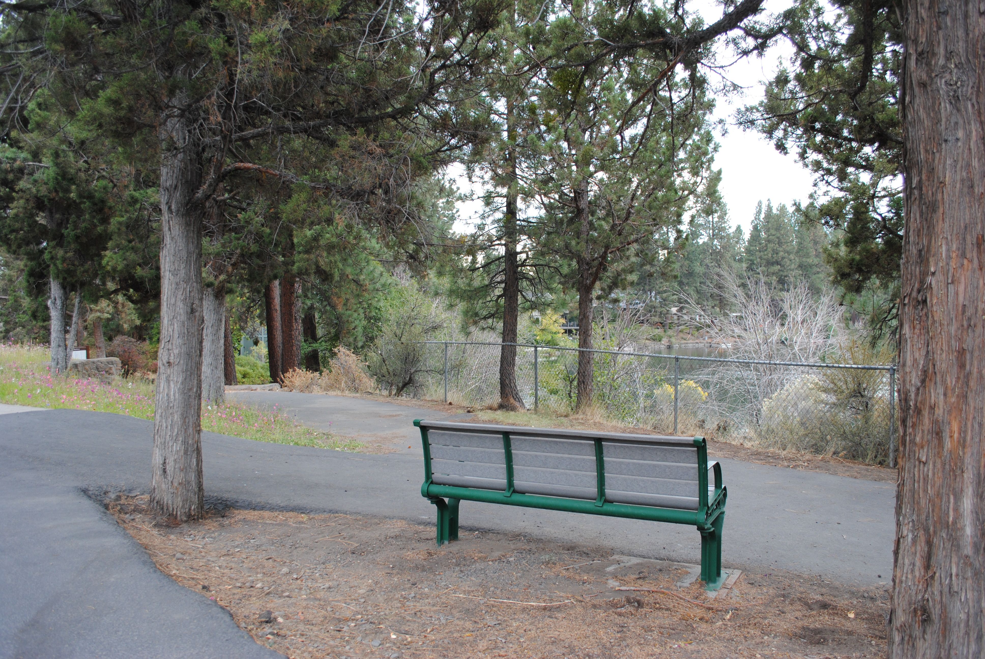 a bench for viewing at riverview park