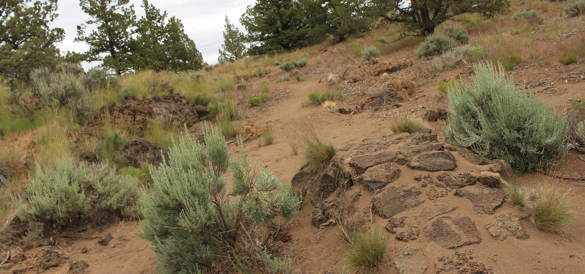 The bike skills course at Rockridge Park.