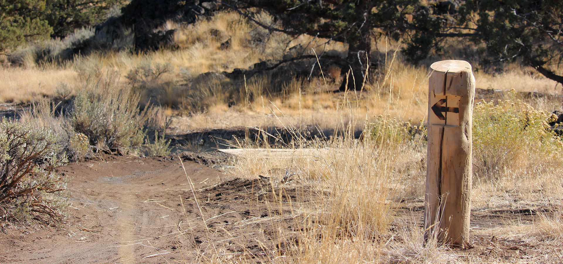 The bike skills trail at Rockridge Park.