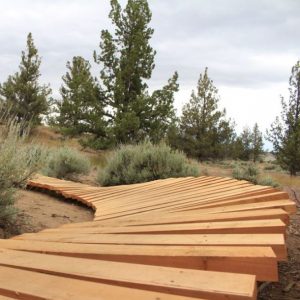 Image of the Bike Skills Course at Rockridge Park in Bend.