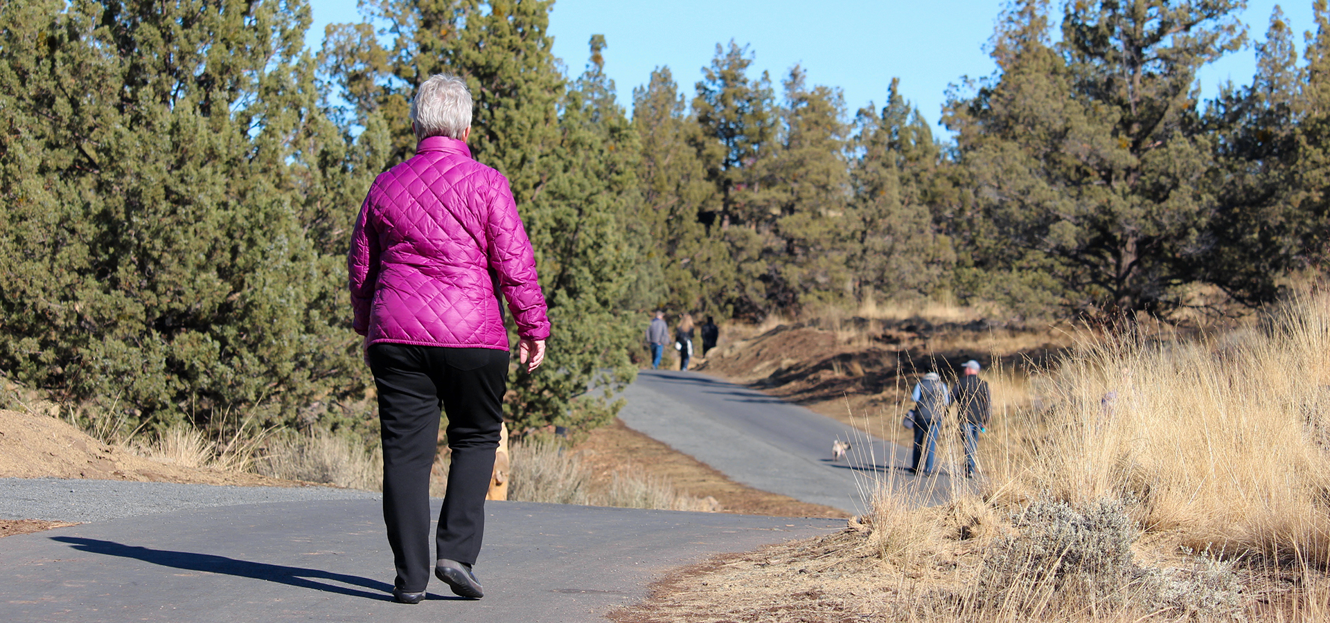 Rockridge-Park-Community-Walking-Path