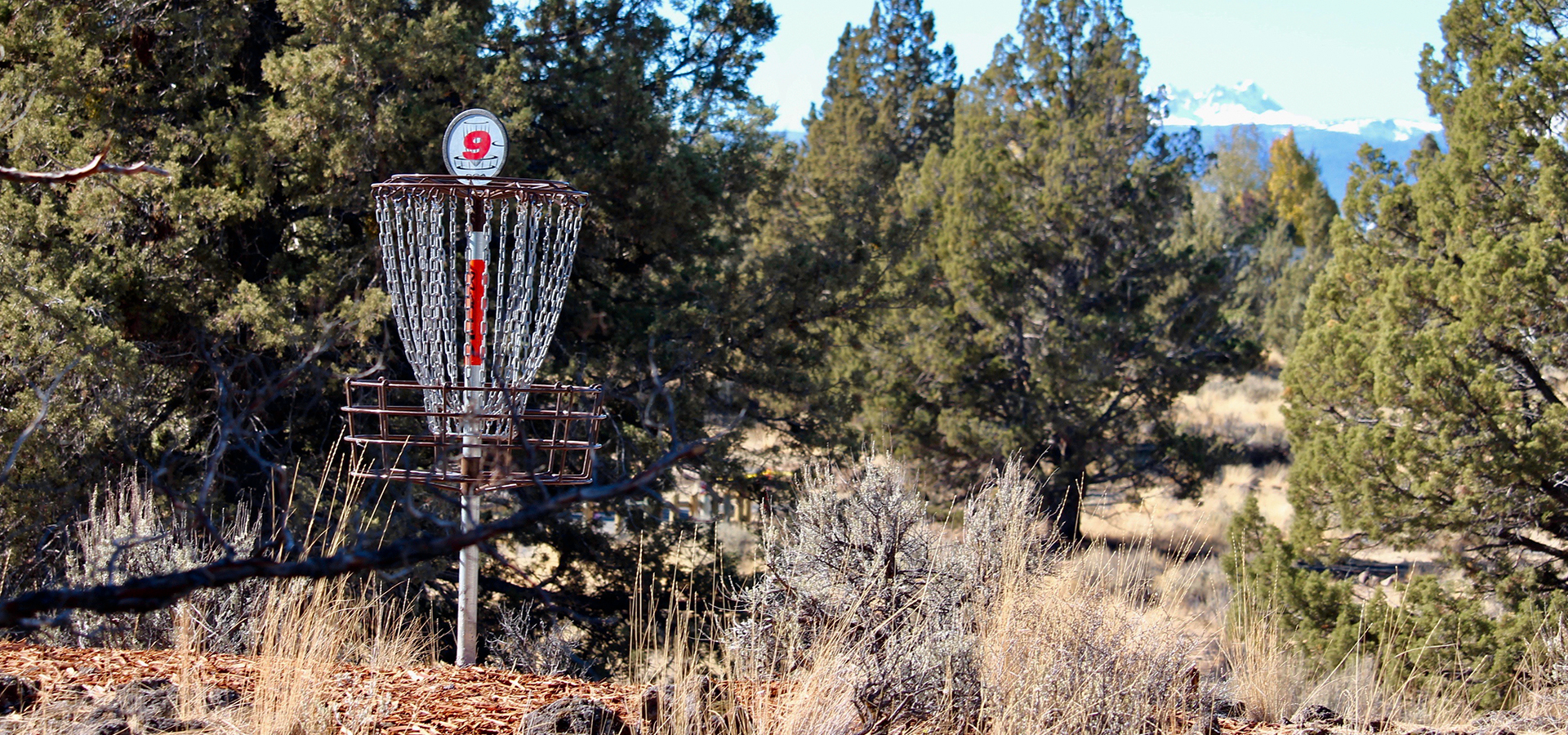 Rockridge-Park-Disc-Golf-Hole