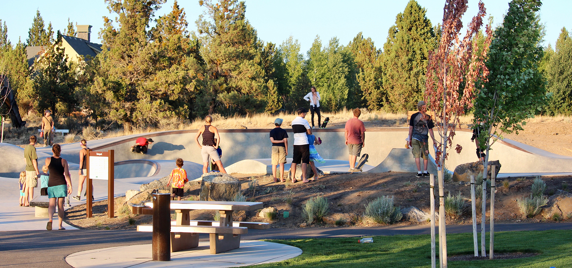 adults watching kids in a skatepark