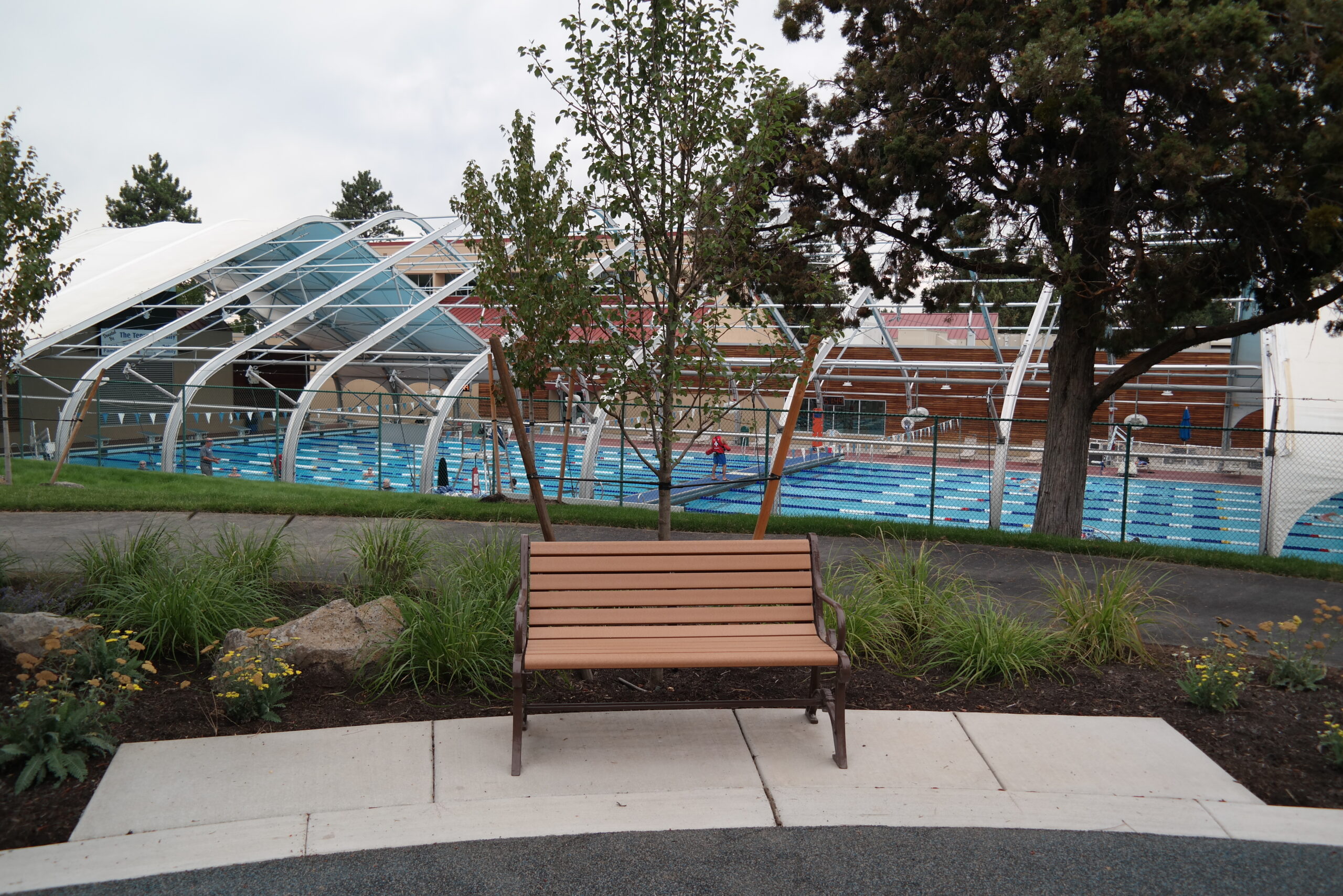 Juniper Park bench with pool in background.