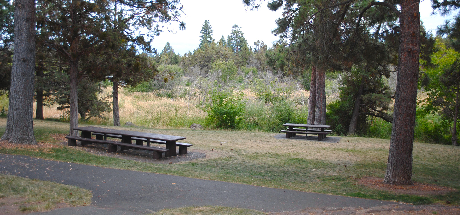 Sawsyer-Park-Picnic-Area