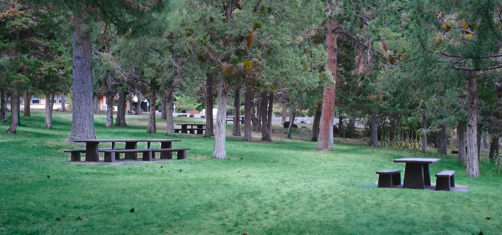 Picnic tables at Sawyer Park.