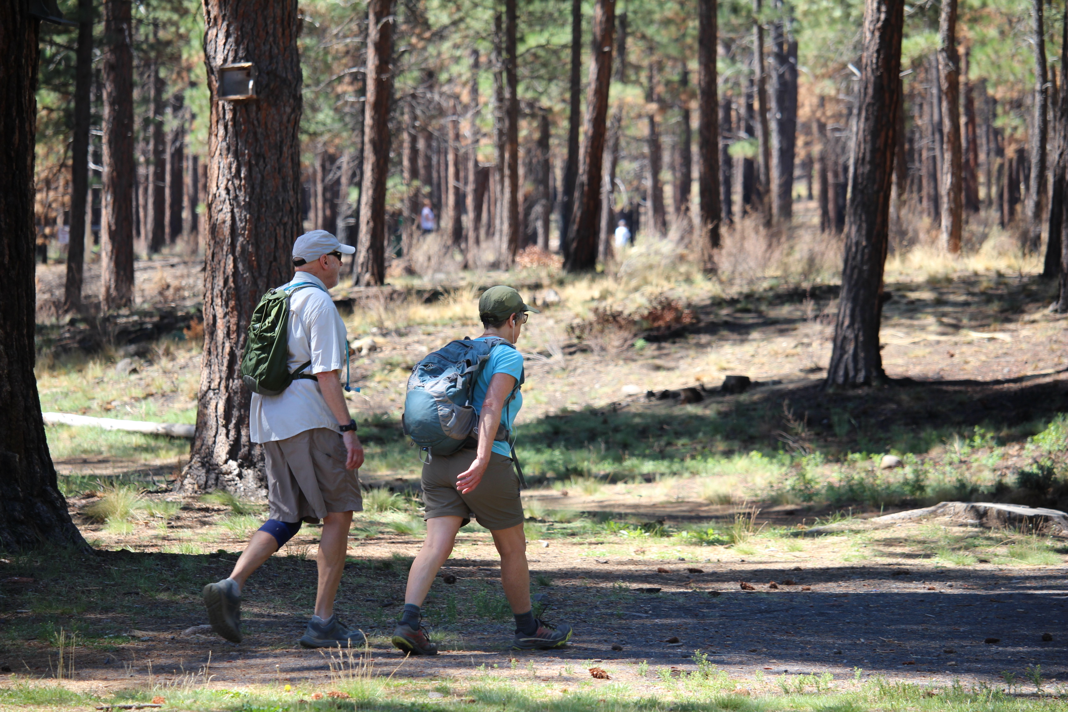 Two people walking in Shevlin Park.