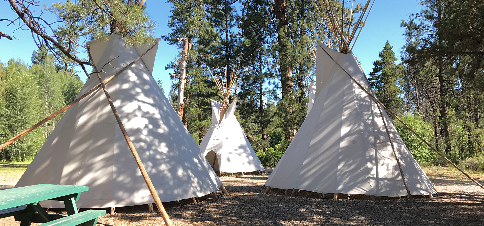 The teepees at Shevlin Park.