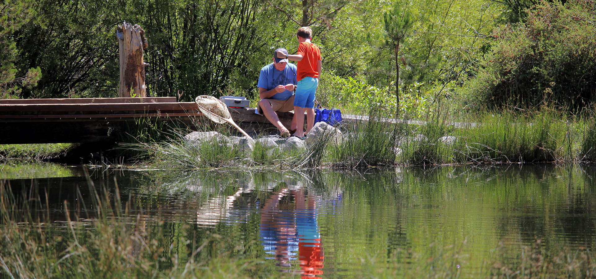 A man and a boy fishing in Shevlin Park.