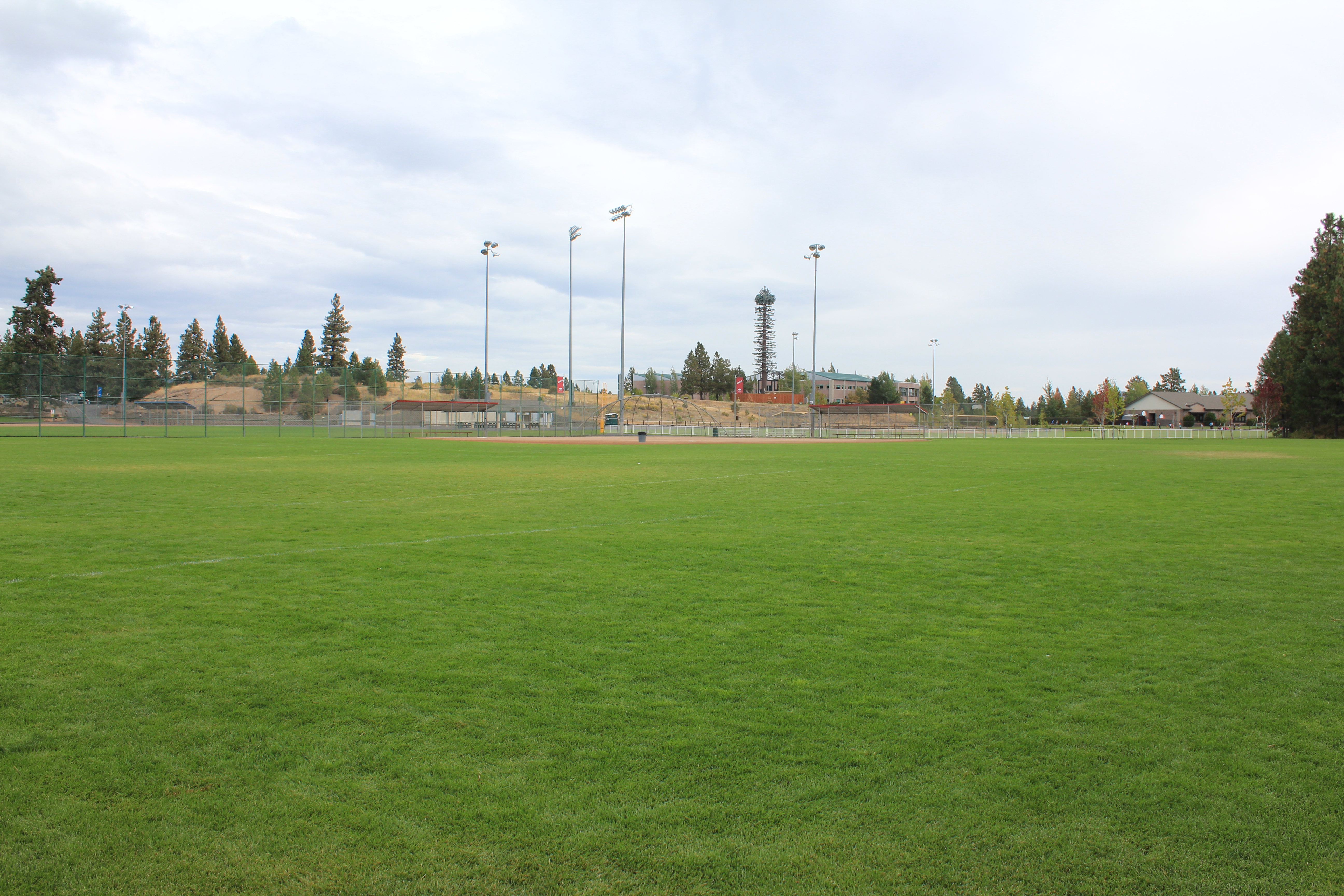 Photograph of Skyline Sports Complex grass field