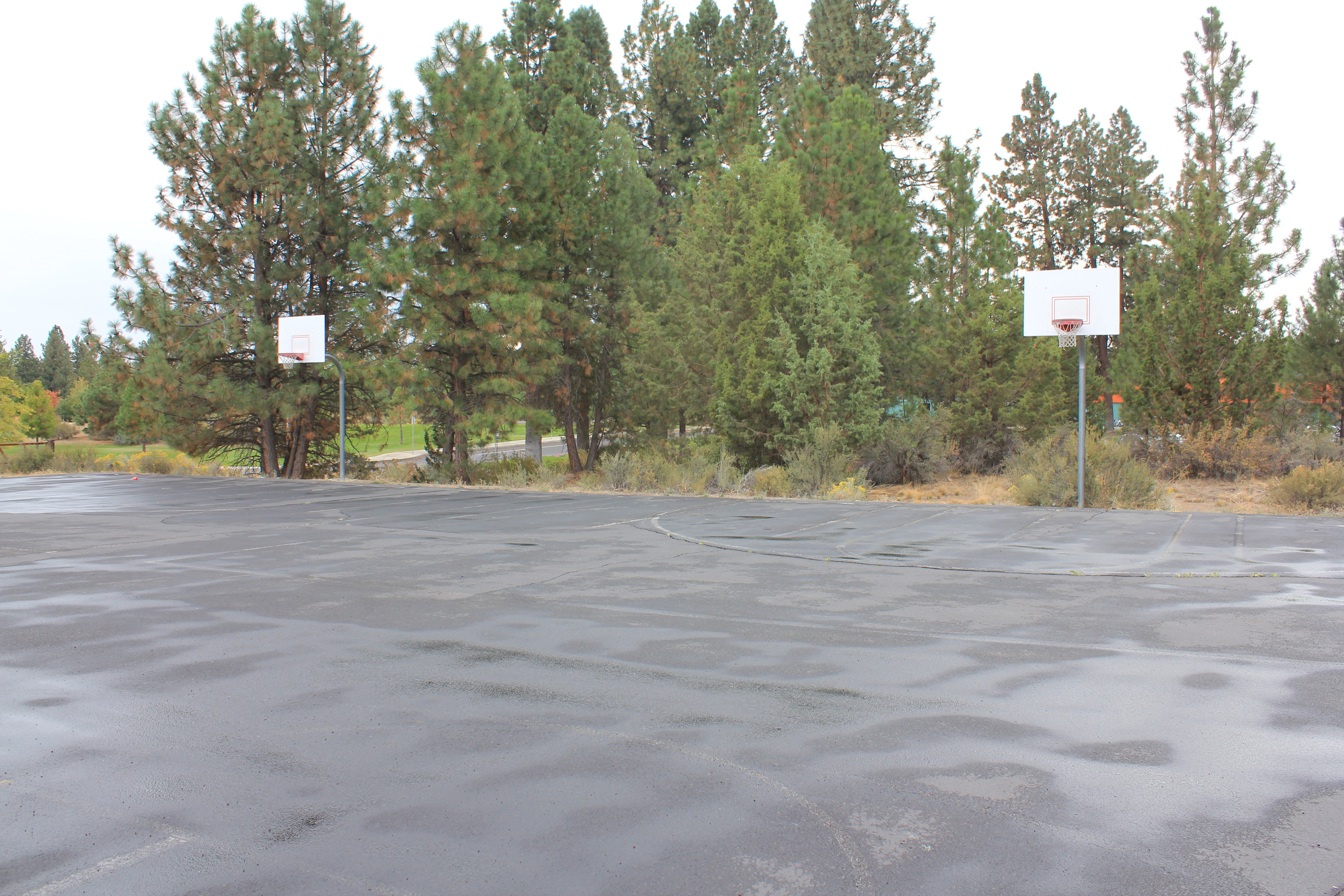 Photograph of Skyline Sports Complex basketball courts