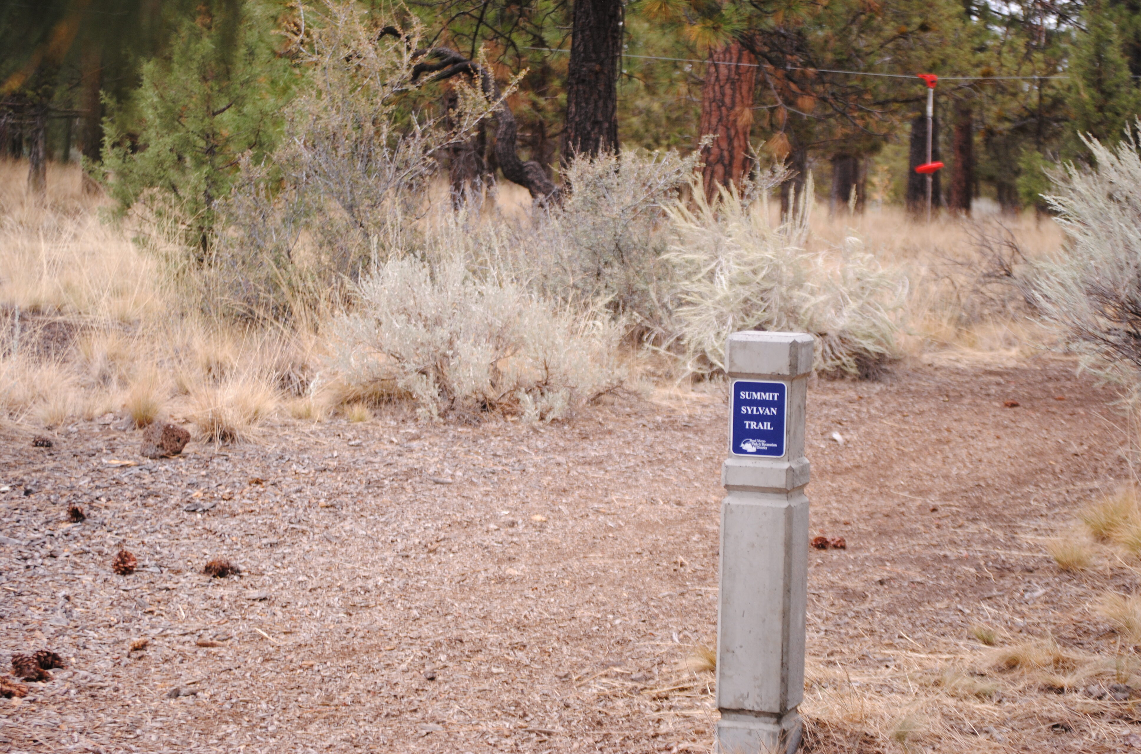 A wayfinding bollard for the Summit to Sylvan trail