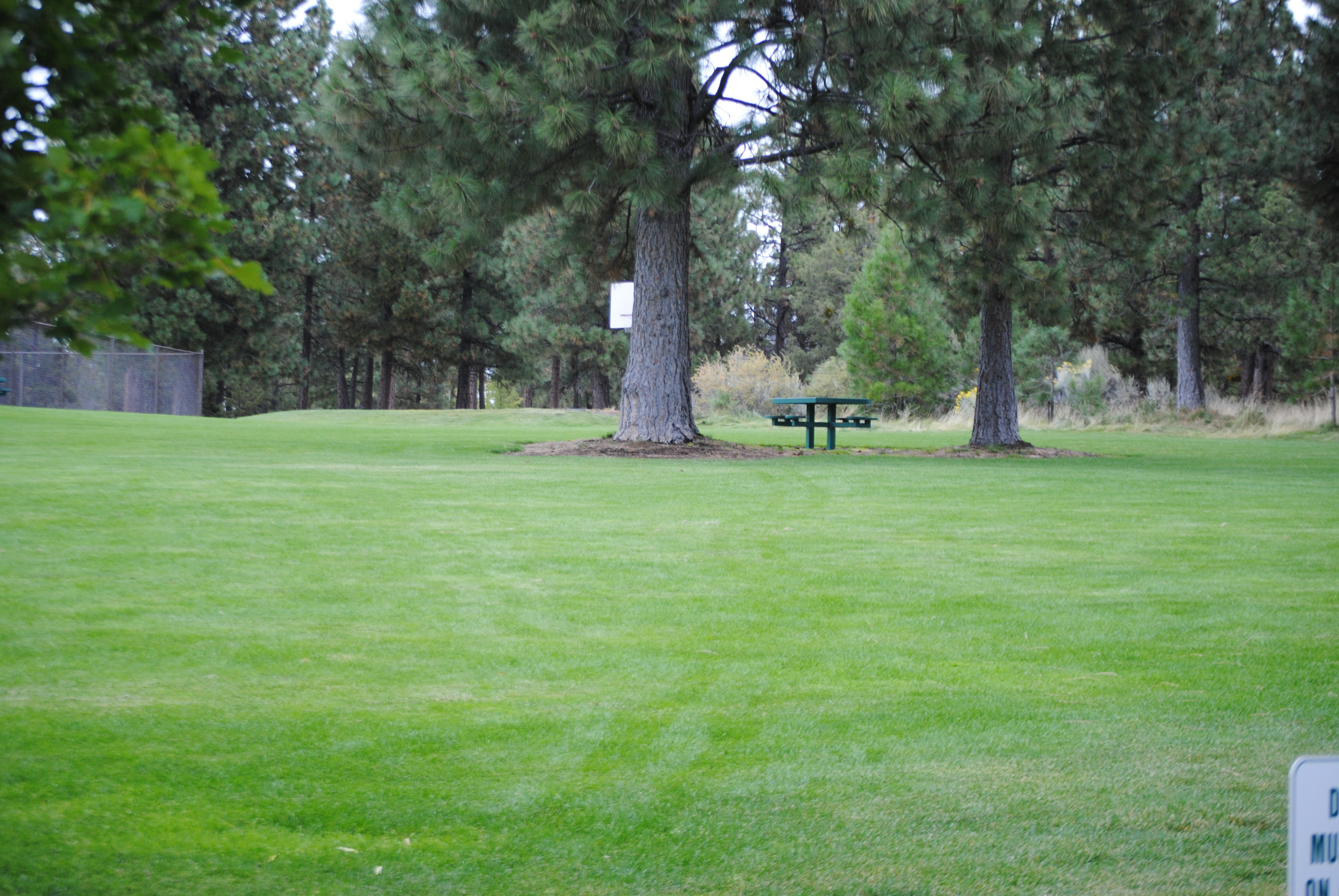 A picnic table under the trees at Summit park