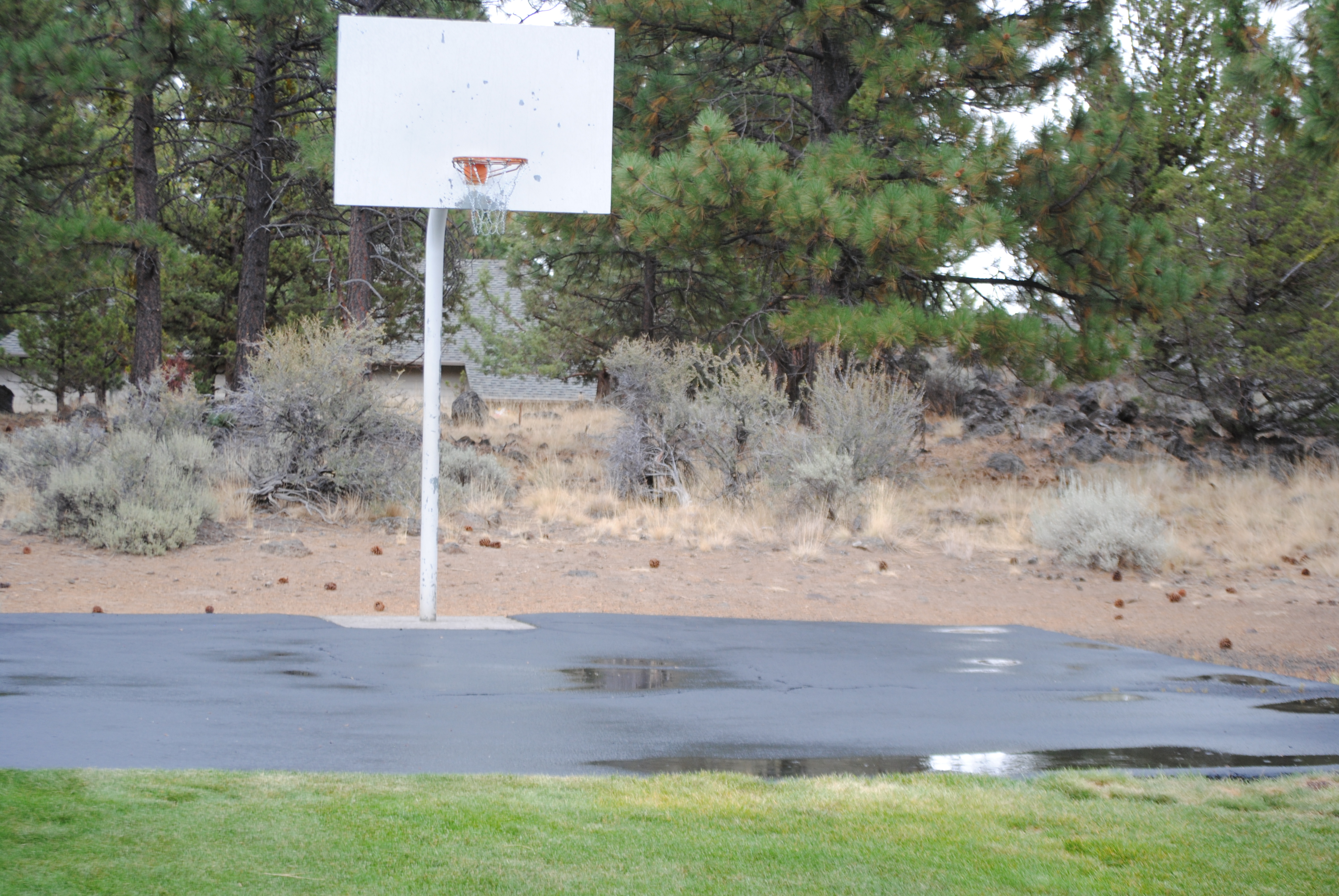 Half court basketball at Summit Park