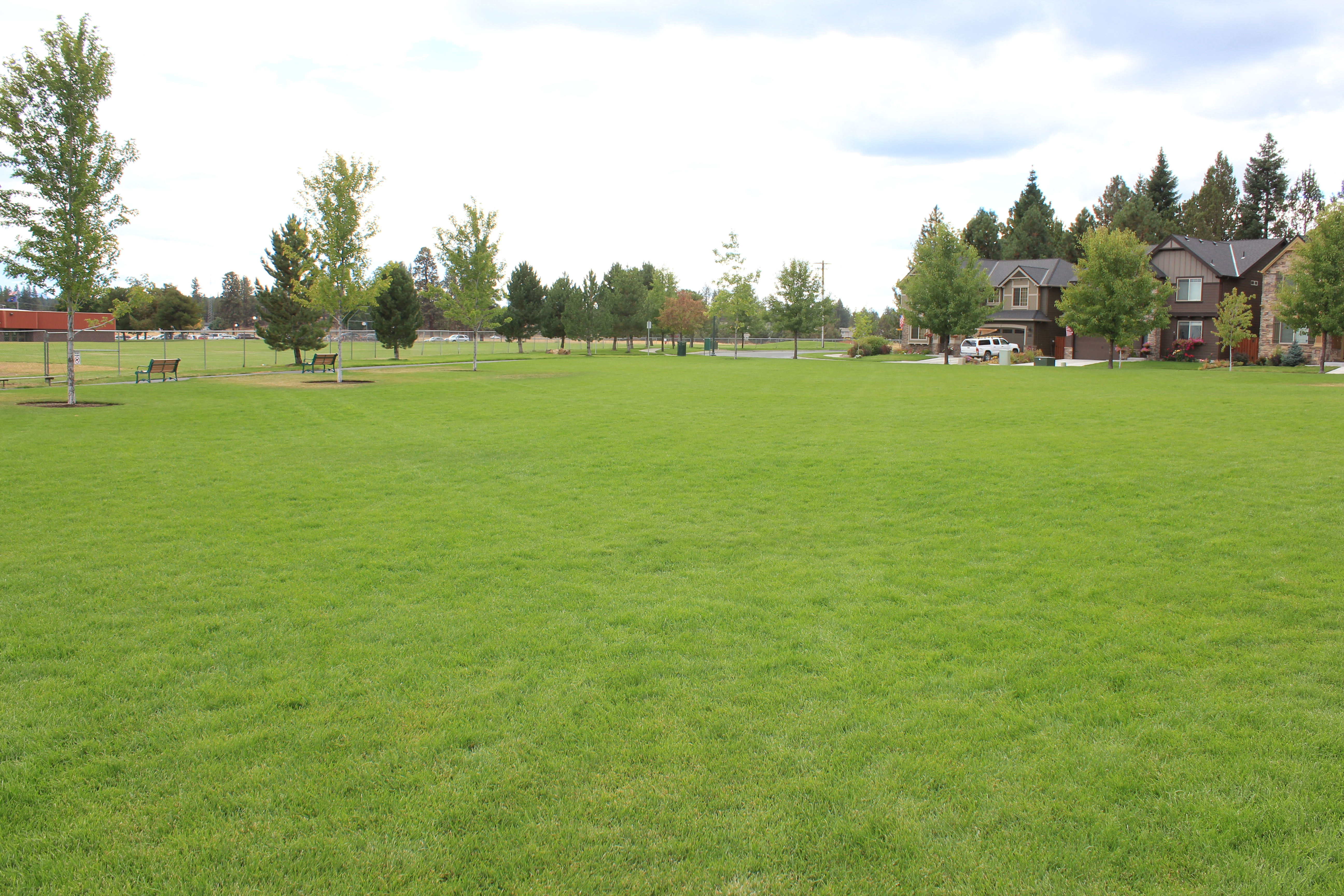 The open lawn at Sun Meadow Park