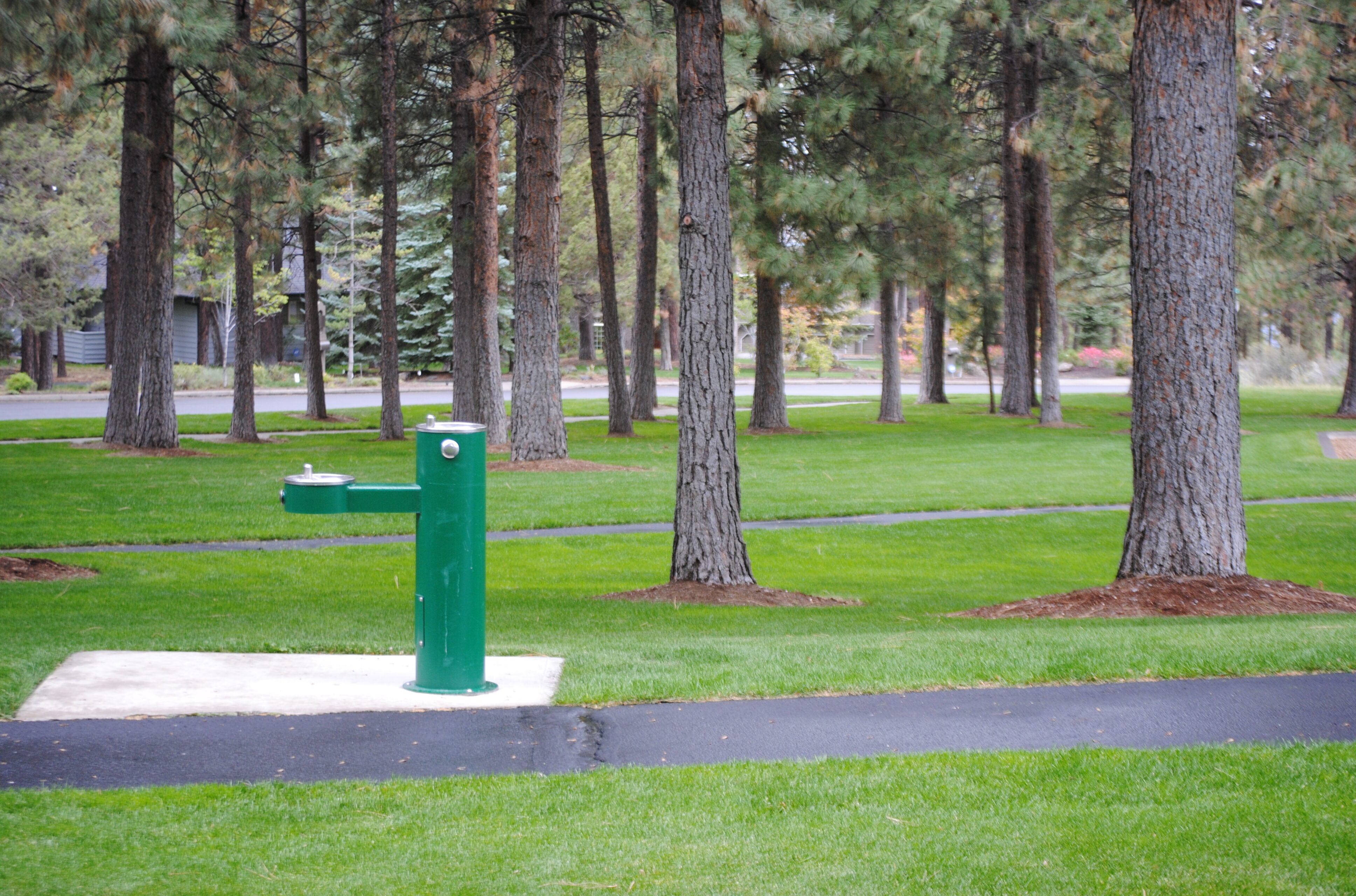Photograph of Sylvan Park