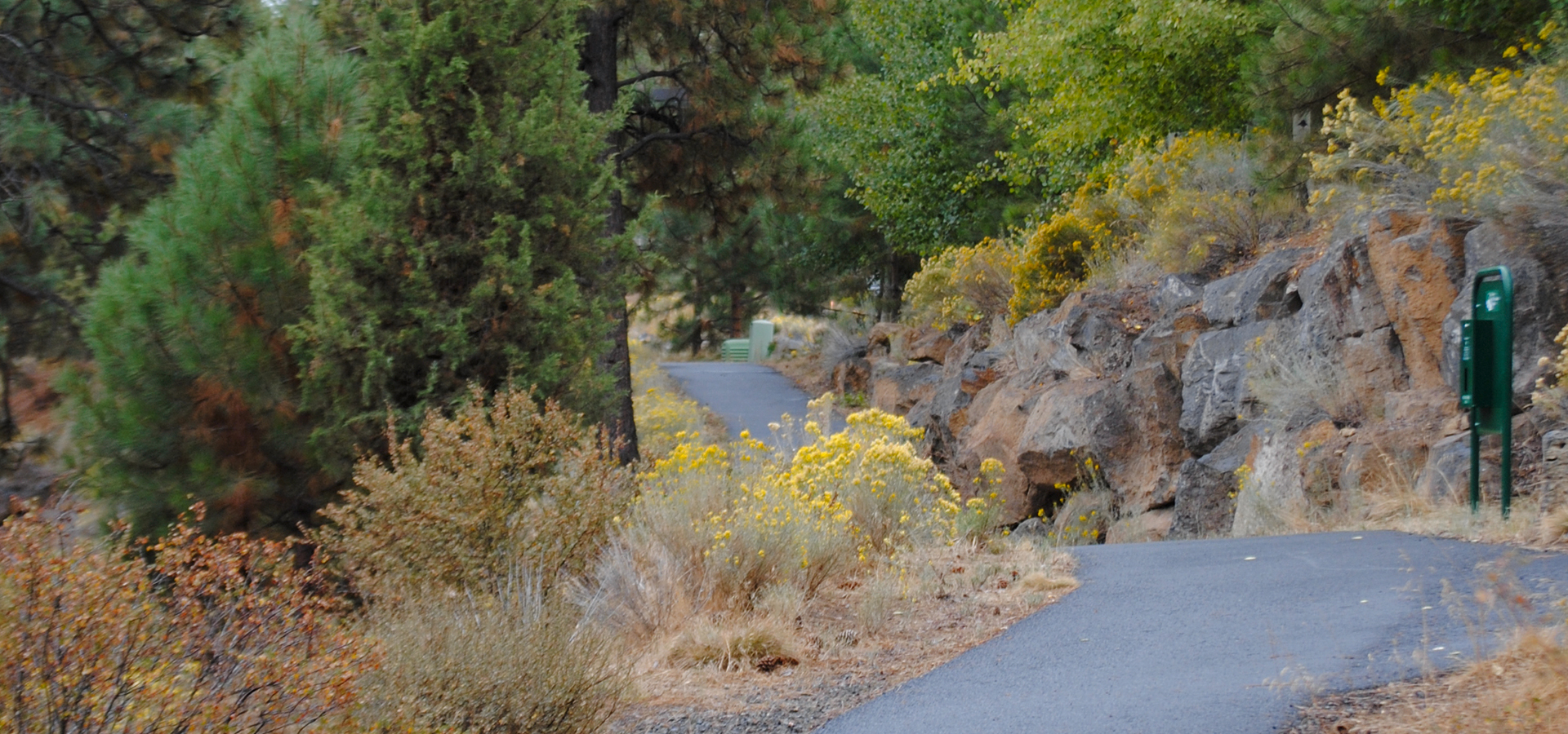 The paved path at Three Pines Park.