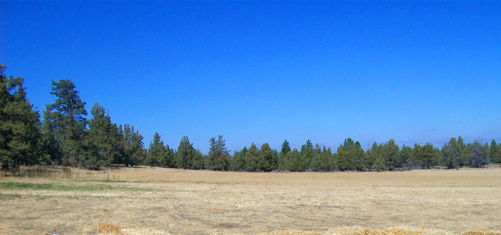 An open field at Tilicum Ranch.