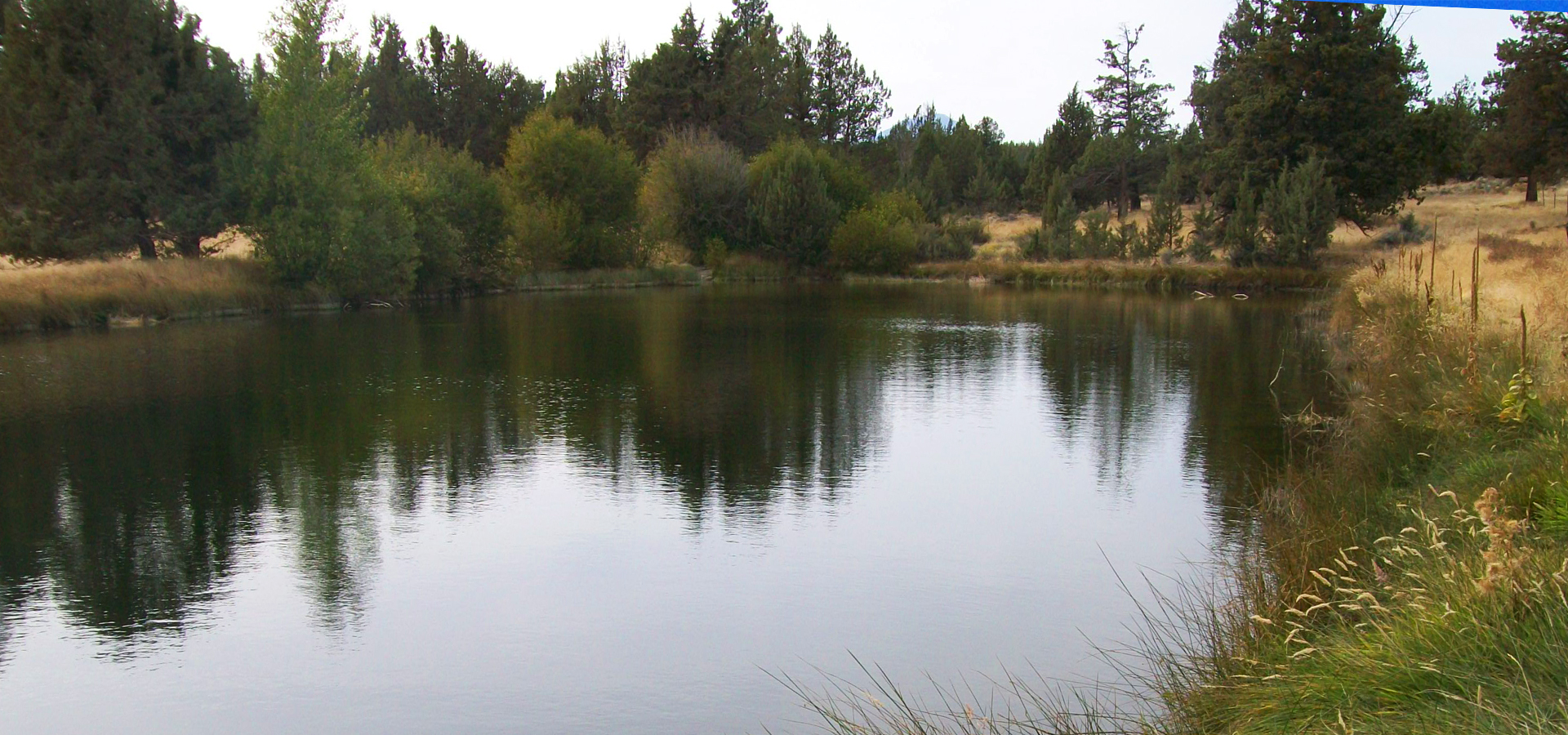 The pond at Tilicum Ranch.