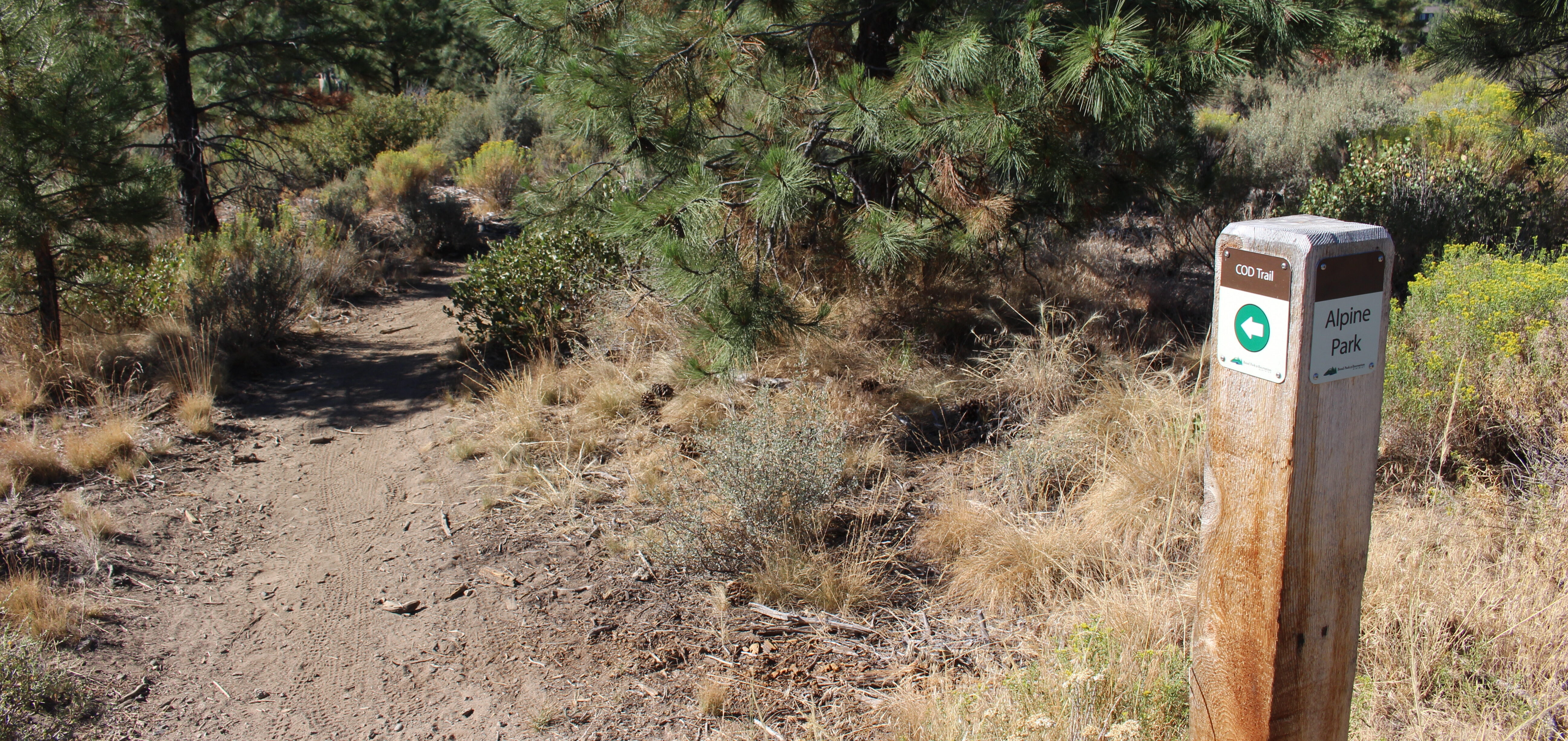 Alpine Park trail and marker