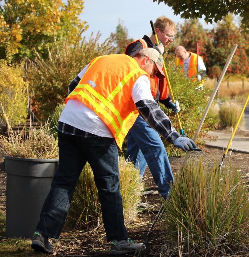 Volunteers doing some weeding and landscaping in a local park.