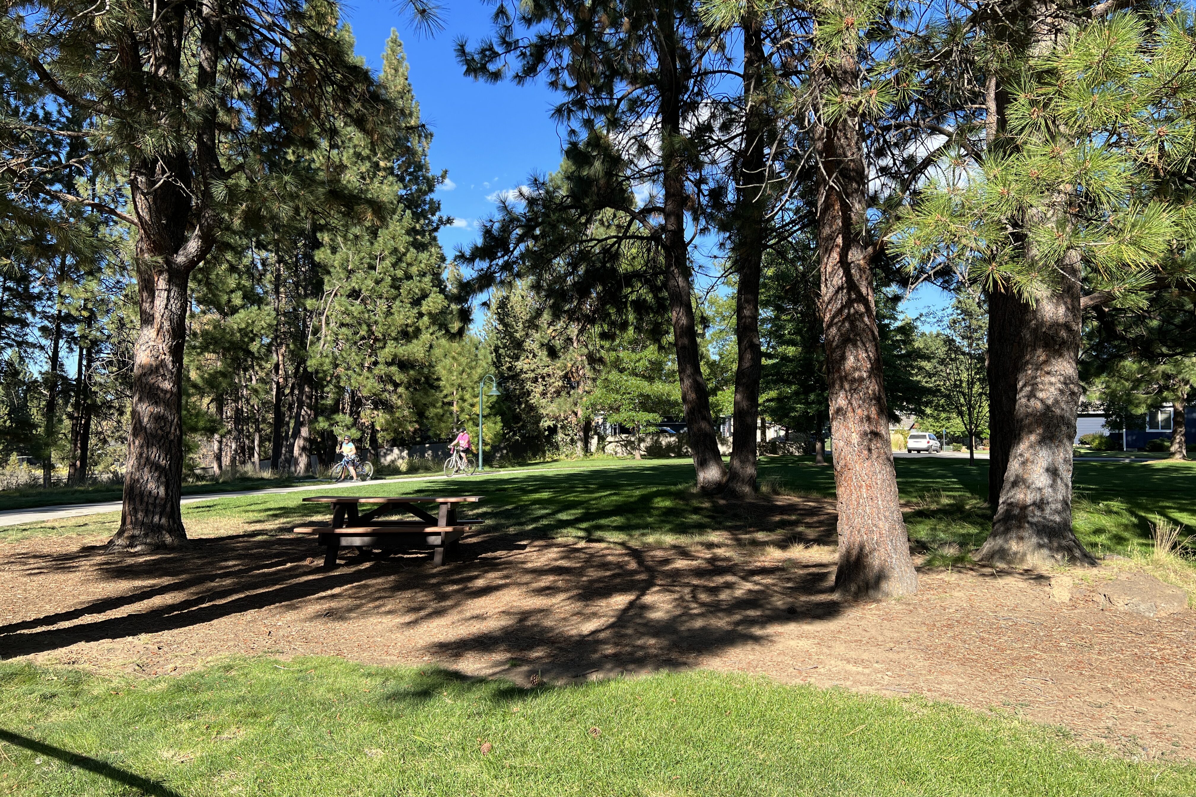 people bike under mature trees at wildflower park