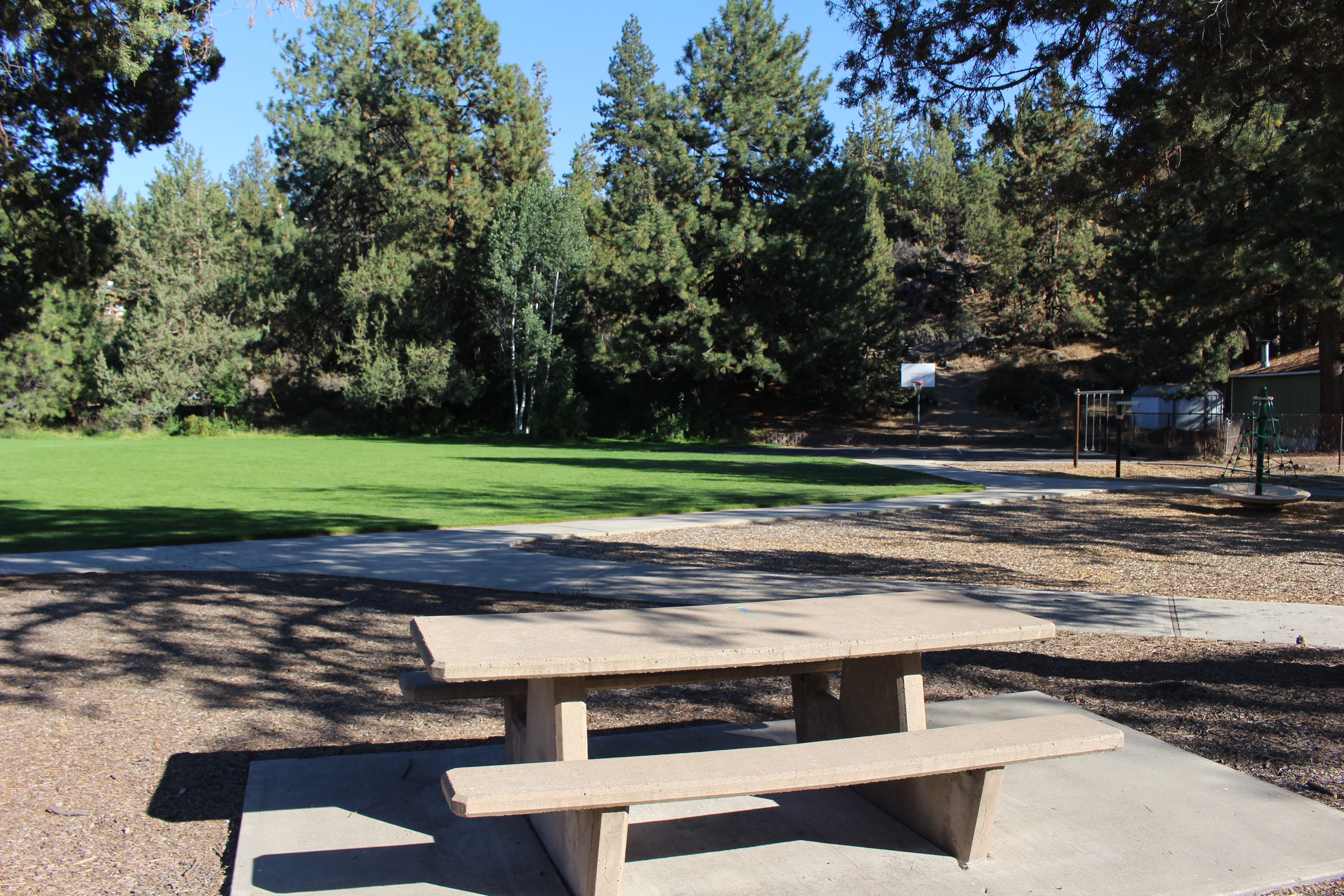 a picnic table and greenspace at woodriver park