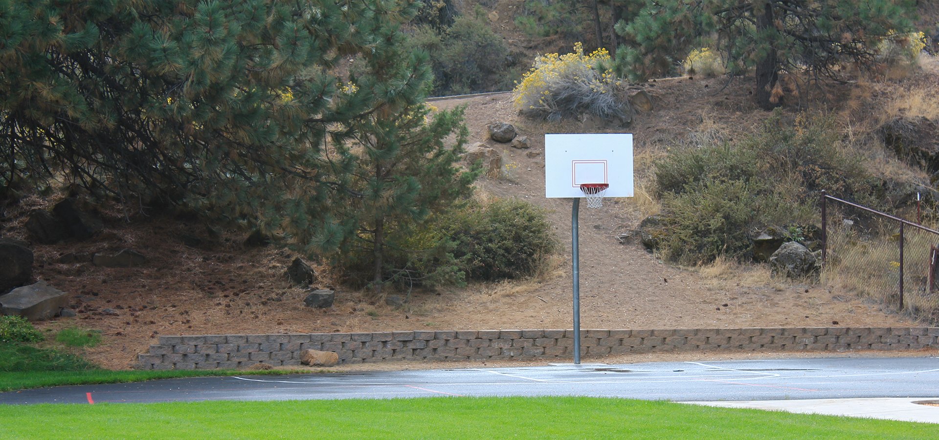 Basketball hoop at Wildflower Park.