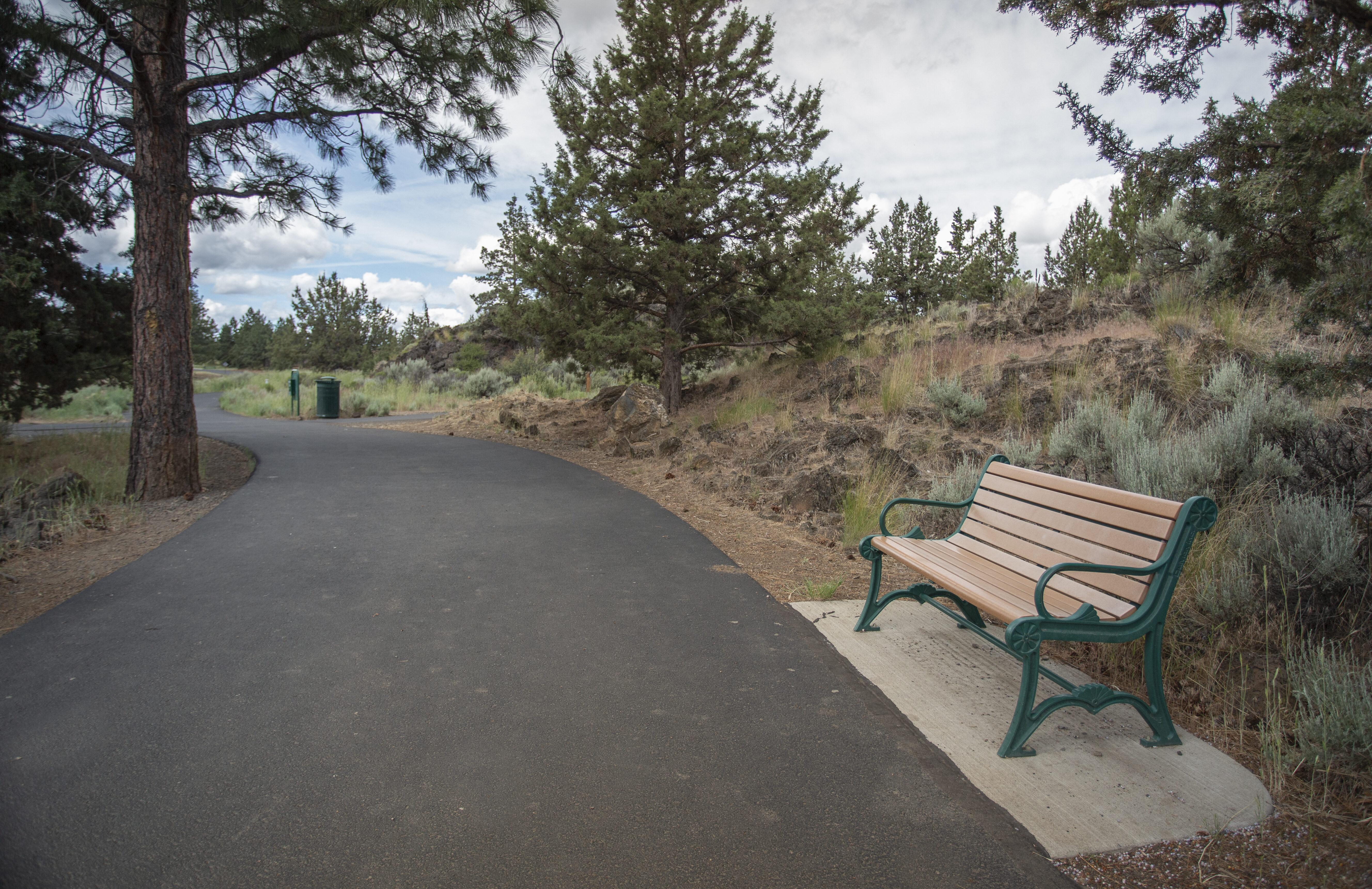 a trail with a park bench at pine nursery