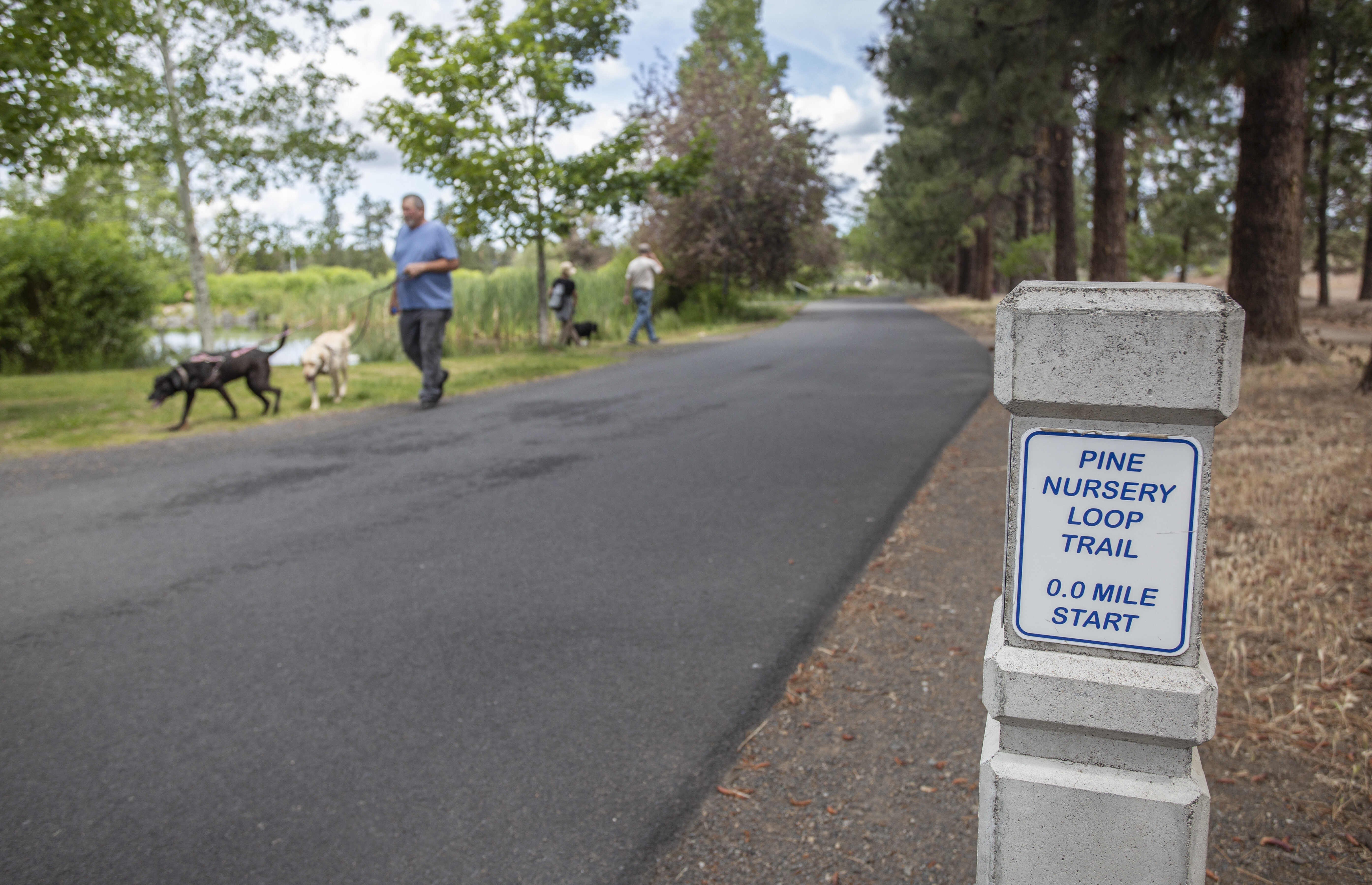 paved walking trails at pine nursery