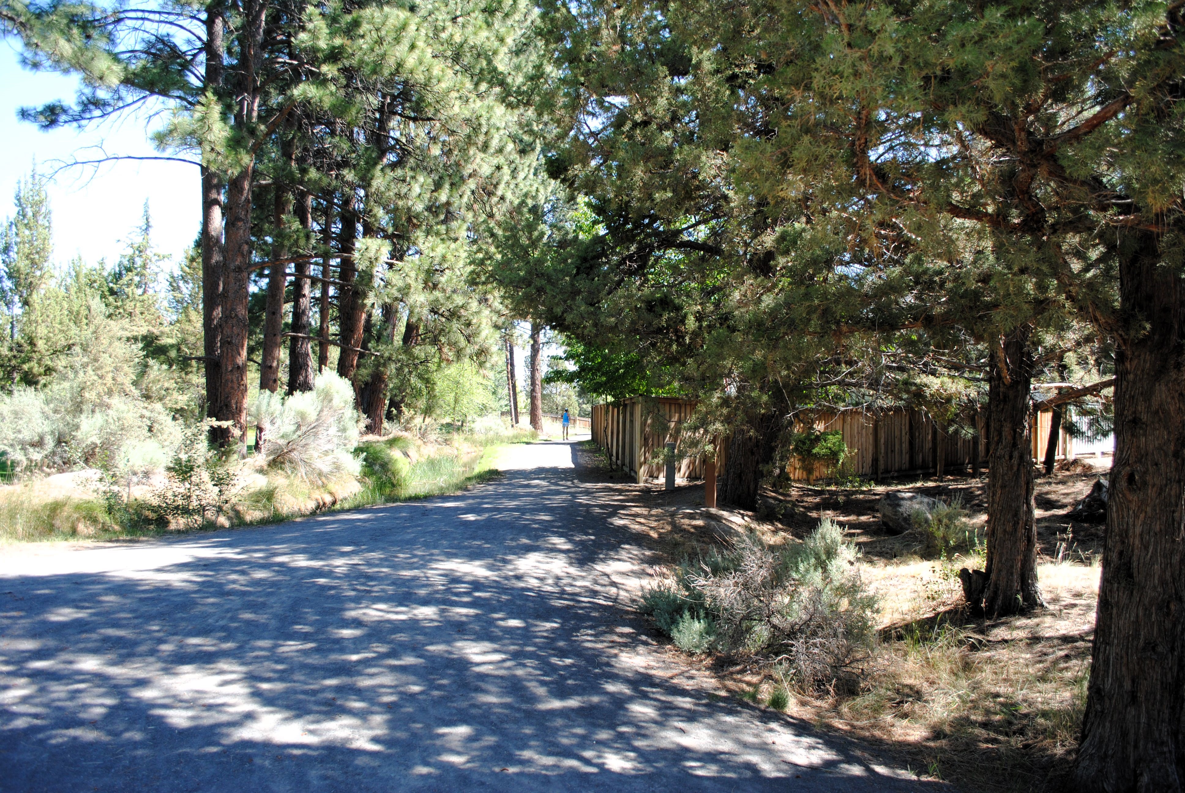 the larkspur trail access at larkspur park