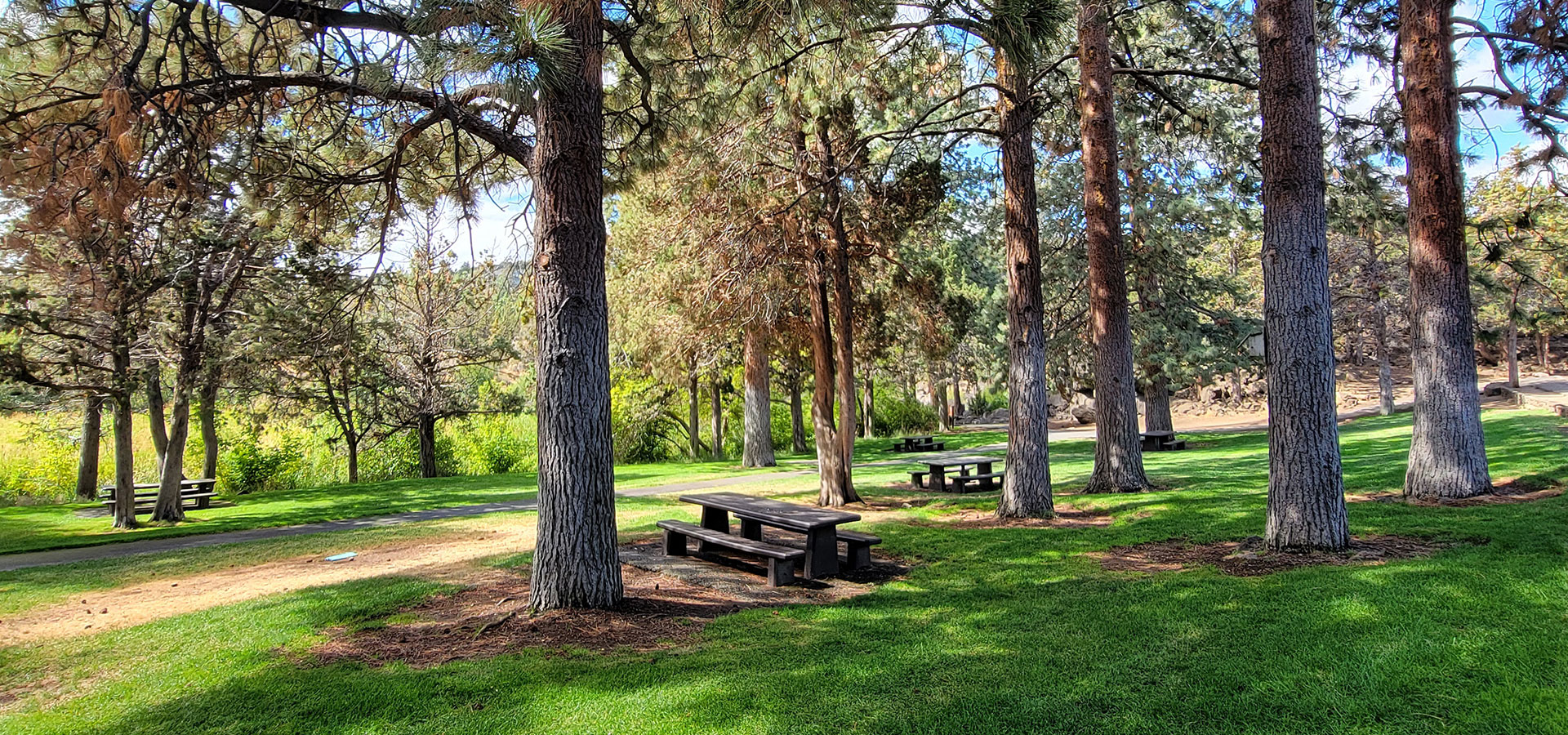 Photo of a picnic table along the trail at Sawyer Park