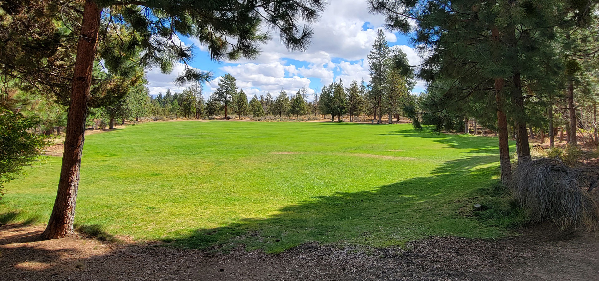 Photo of a green patch of grass at Sawyer Park