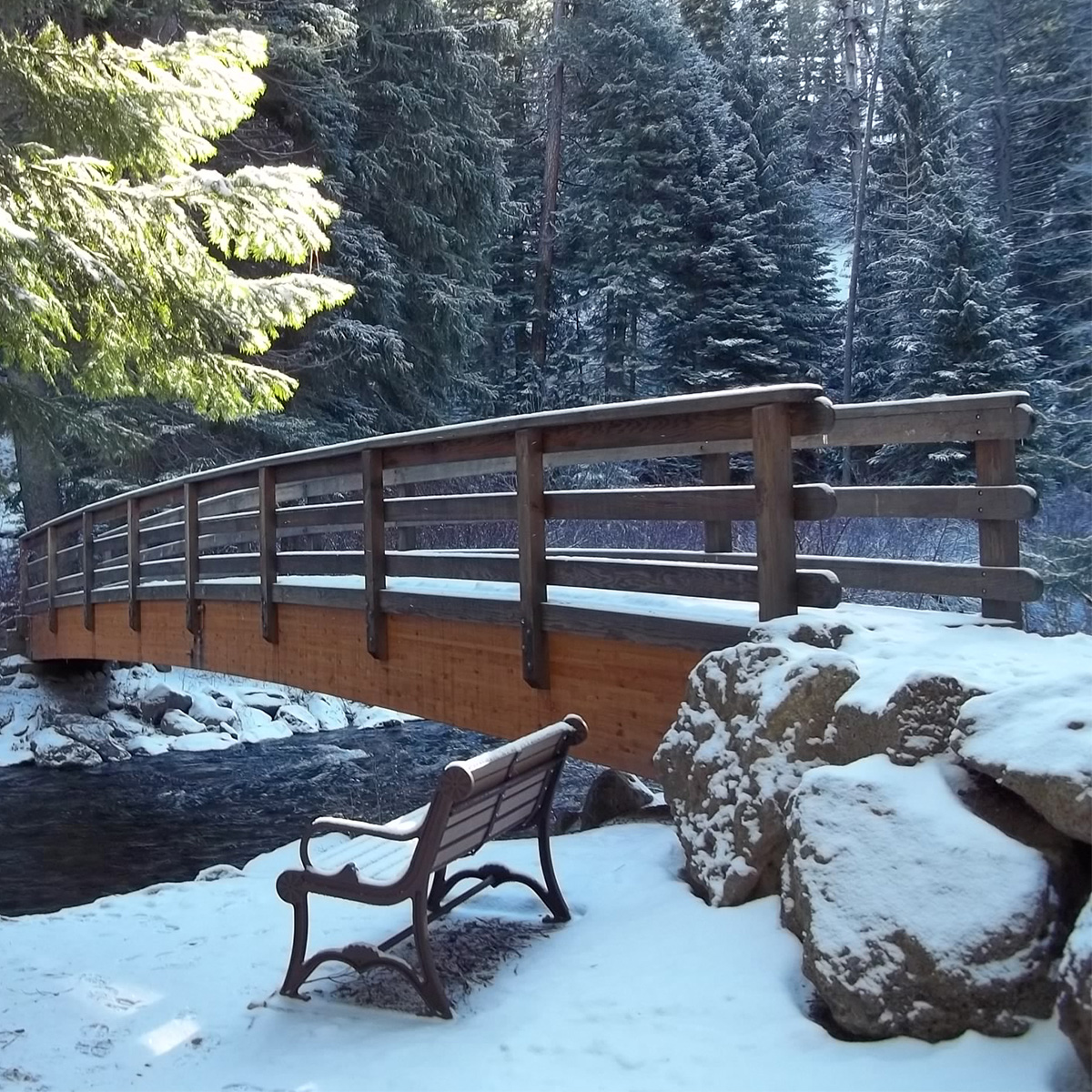 A pedestrian bridge at Shevlin Park in the winter.