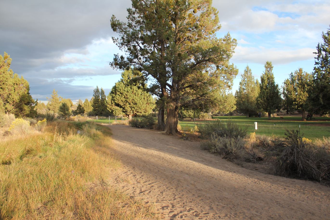 Big Sky Park Dog Park and Trail