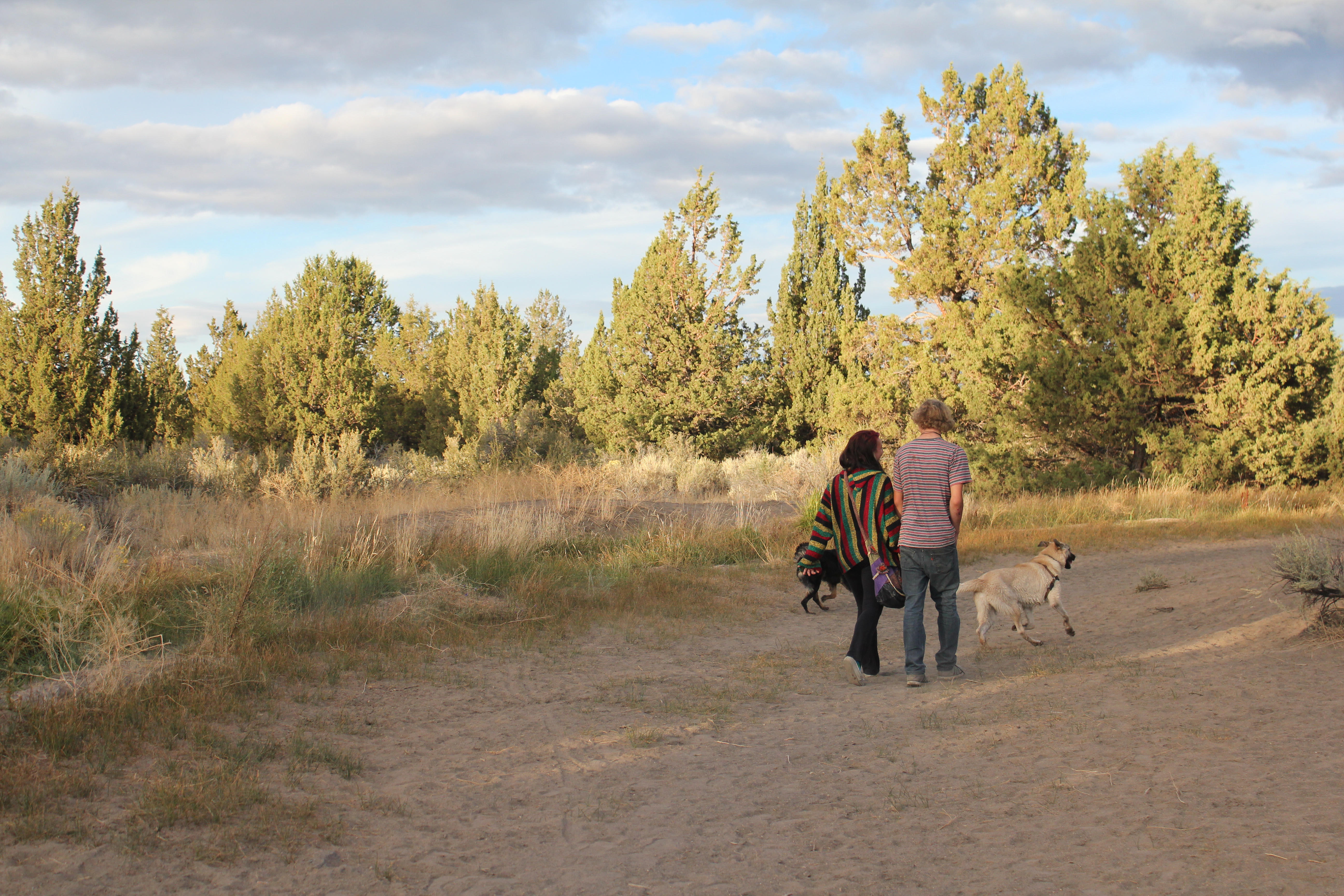 Big Sky Park trail