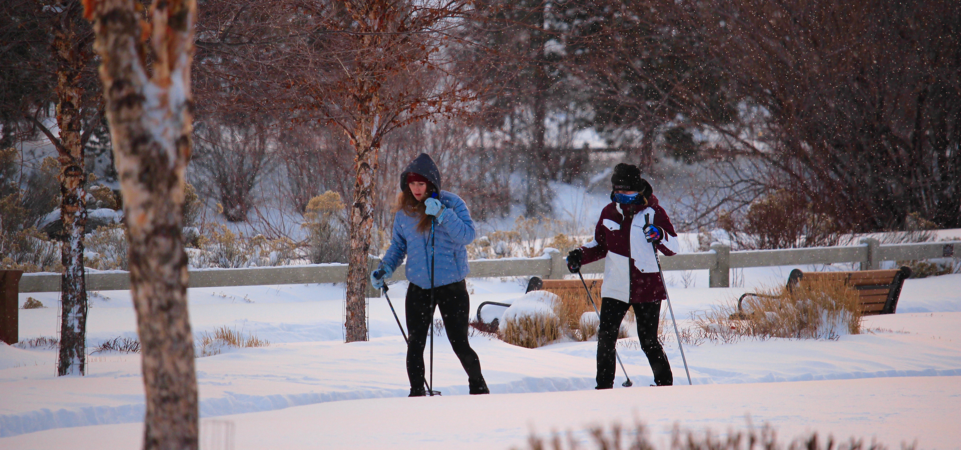 Two people Nordic skiing at Riverbend Park.