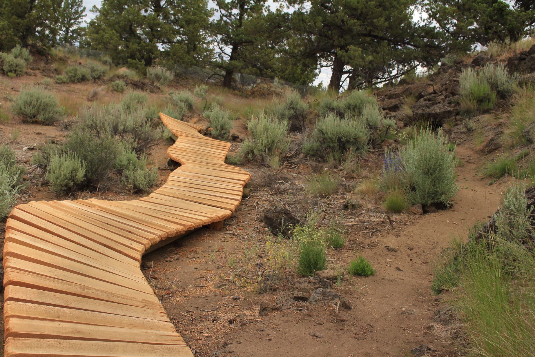 Rockridge Bike Skills Course