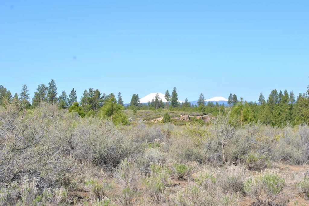 Deschutes River Trail - South UGB Area Images