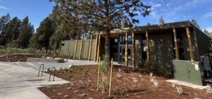 exterior of Art Station building with tree, landscpaing and plaza in front