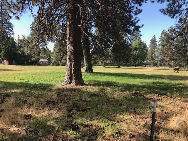 Goodrich Park Project Site