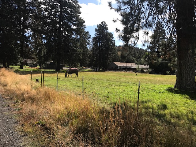 Goodrich Park Project Site