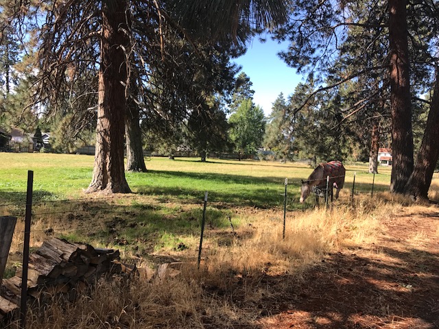Goodrich Park Project Site