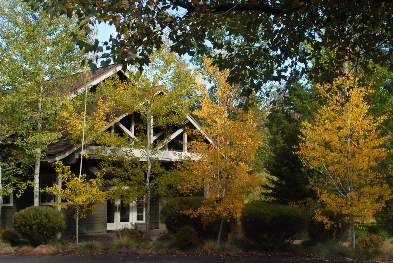 Aspen Hall - fall colors