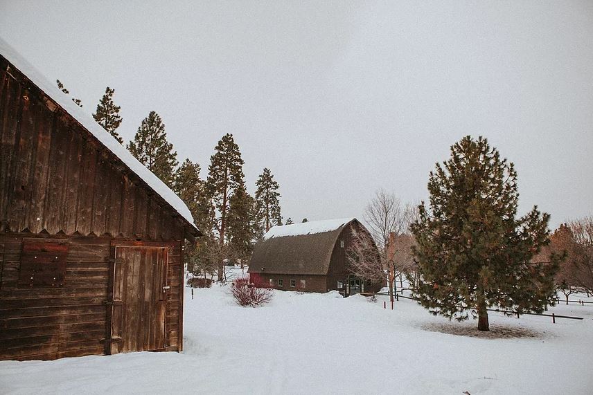 snow-covered barn and tack shed at Hollinshead Barn