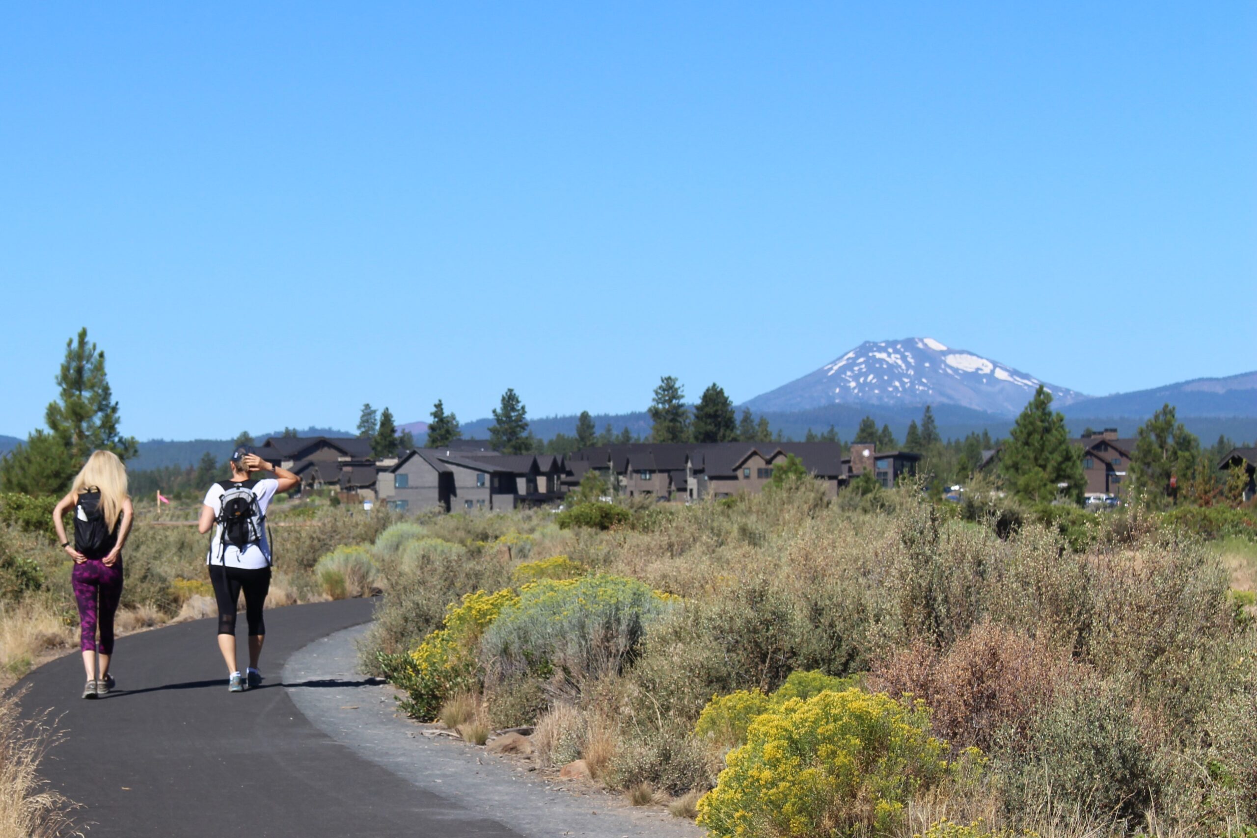 Alpine Park and Trail with walkers