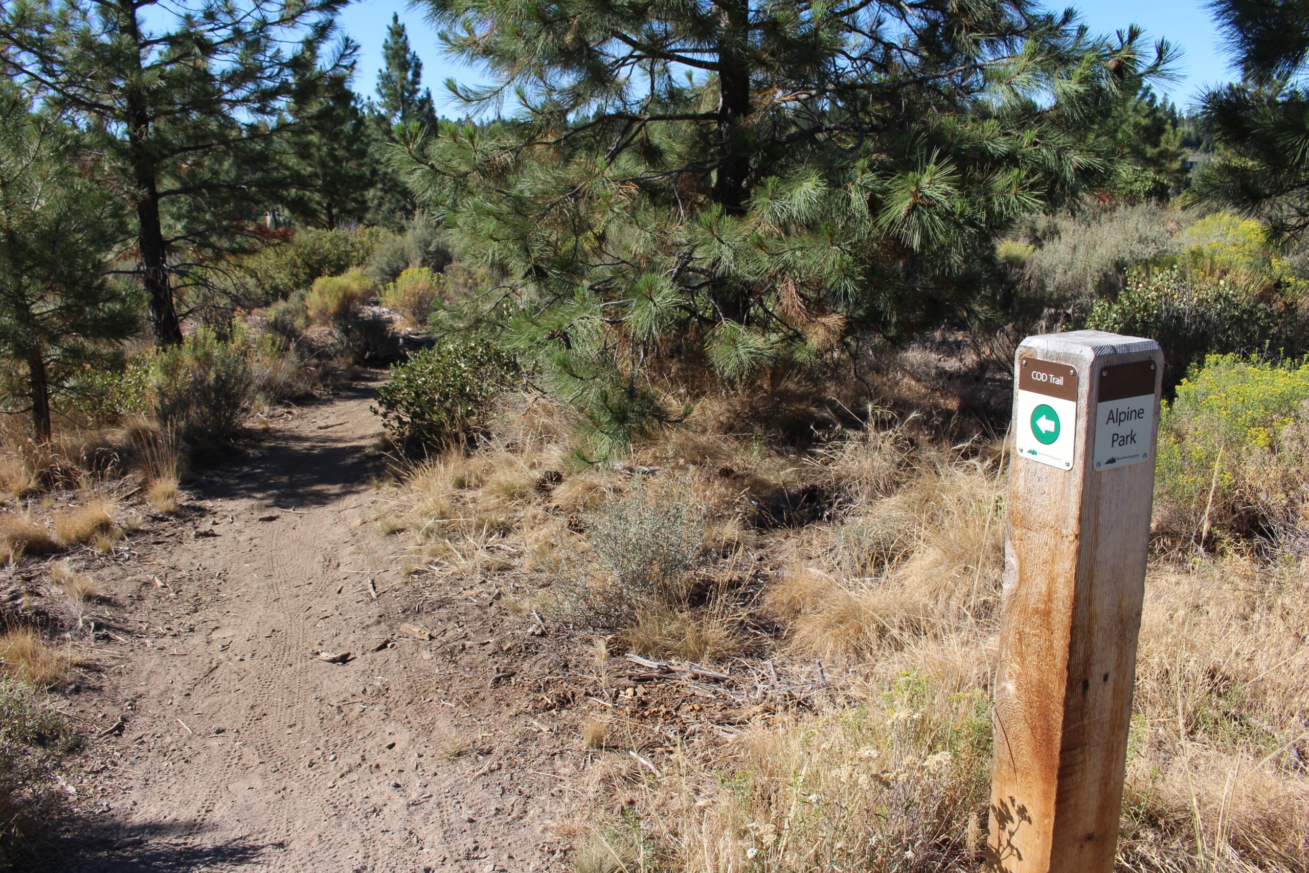 alpine trailhead marker
