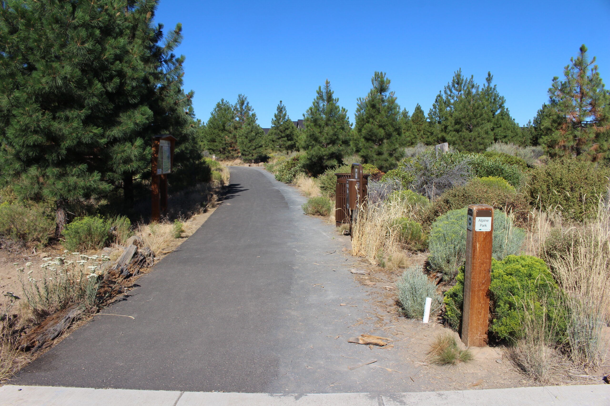 the alpine trail path