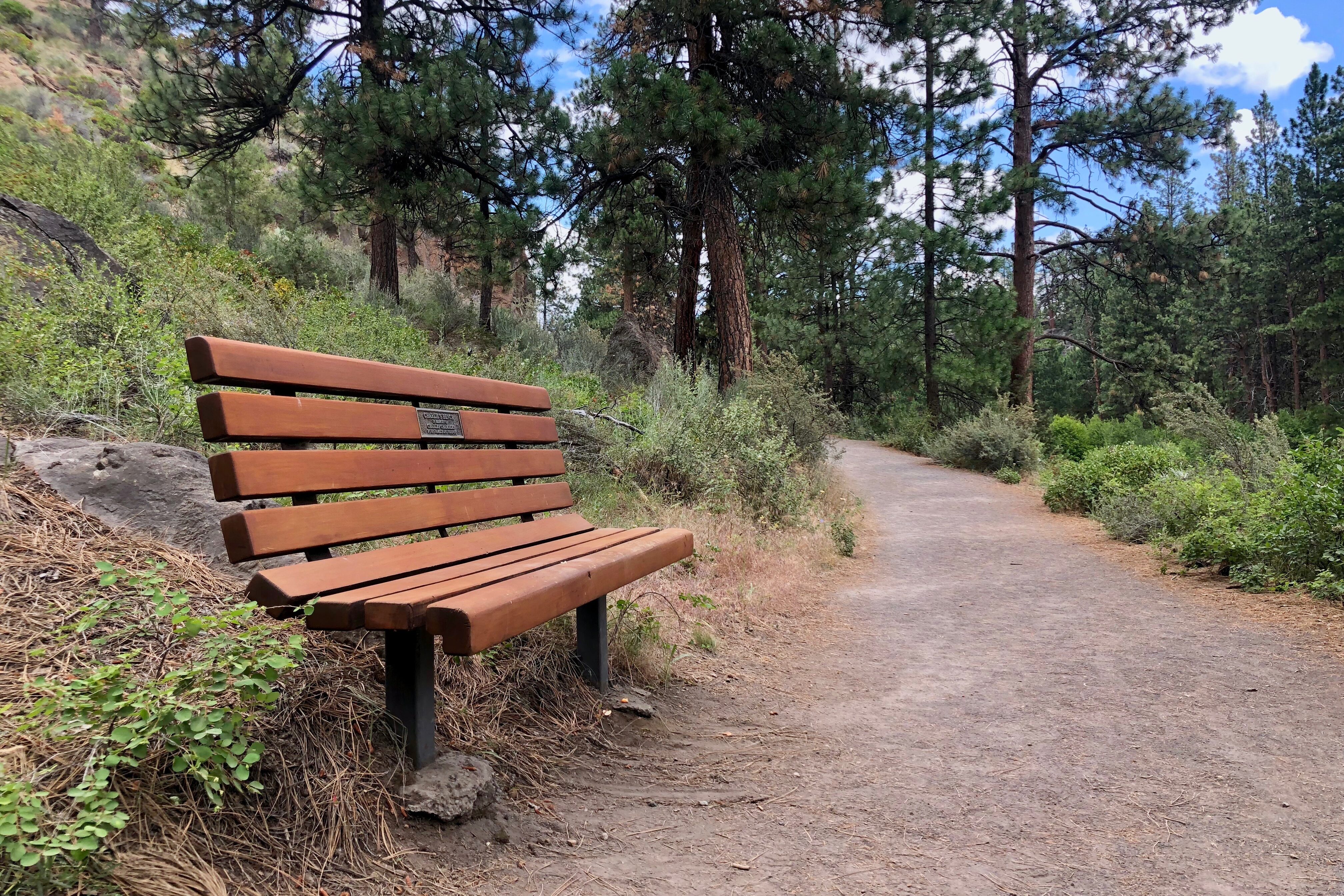 Photo of the Deschuttes River Trail bench