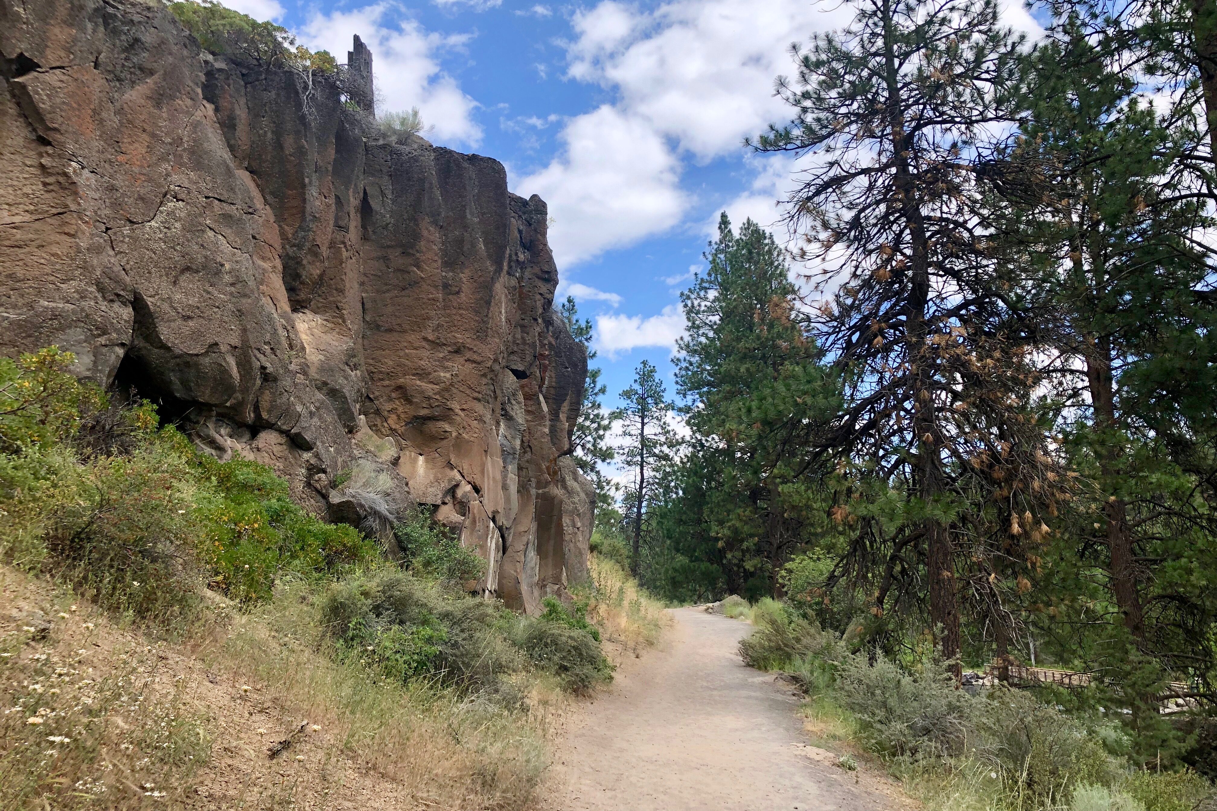 Photo of the Deschuttes River Trail